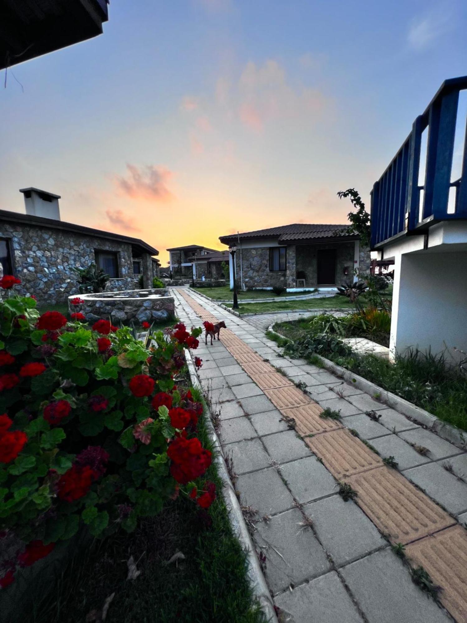 Ardic Agaci Holiday Village 파마구스타 외부 사진